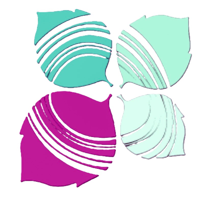 Serving Older Adults in Routt County